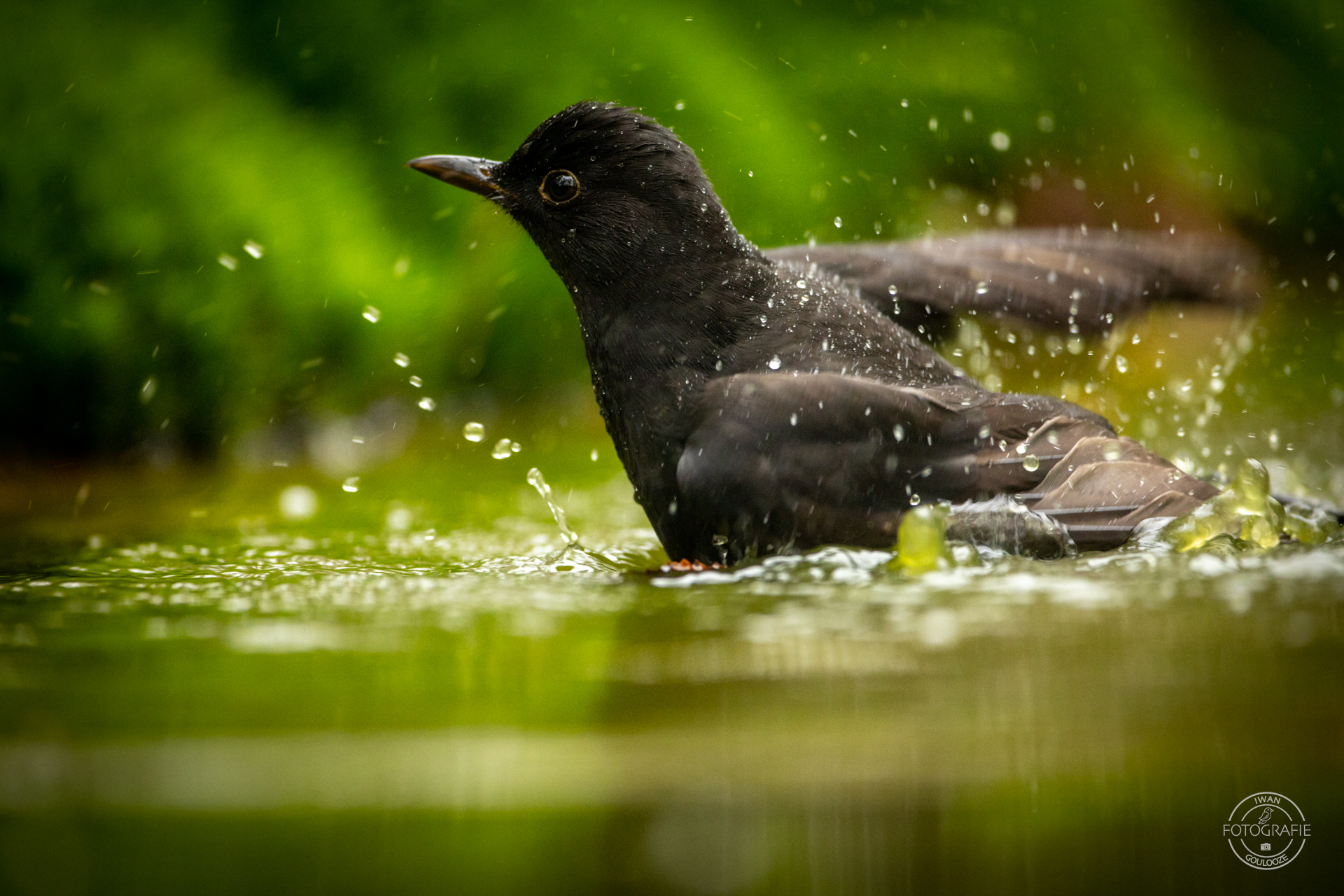 23 oktober 2022 123749 1R2A0062